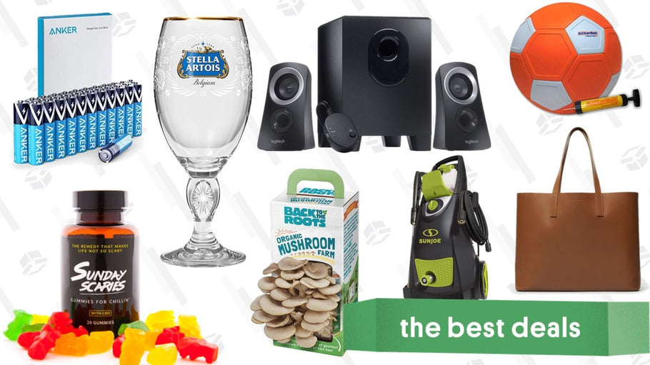 Sunday's Best Deals: Everlane's Famous Tote, Stella Charity Glasses, CBD, Mushrooms, and More