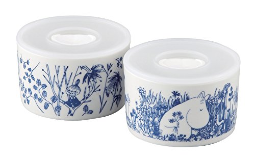 22 Most Wanted Safe Storages